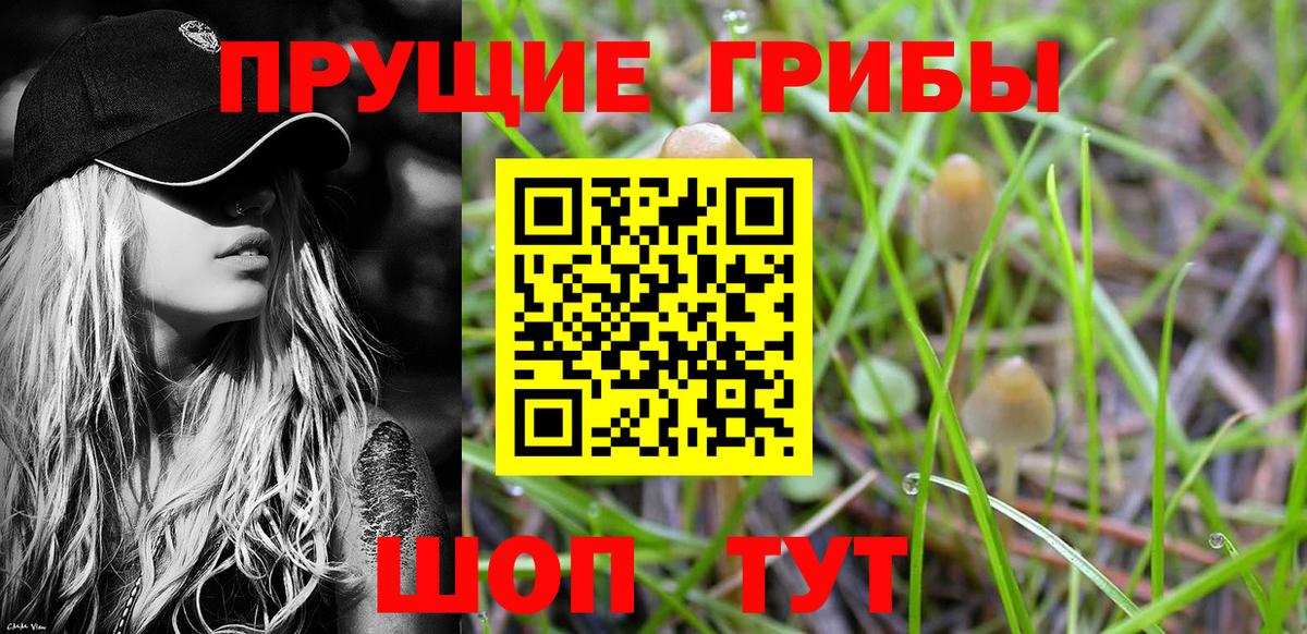 Псилоцибиновые грибы мухоморы  Вход с VPN  Старый Оскол 